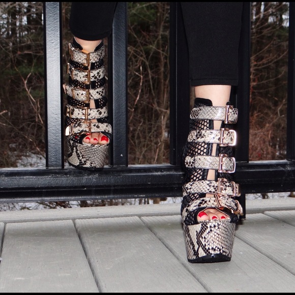 Snake Tan Fishnet booties. Heels.com