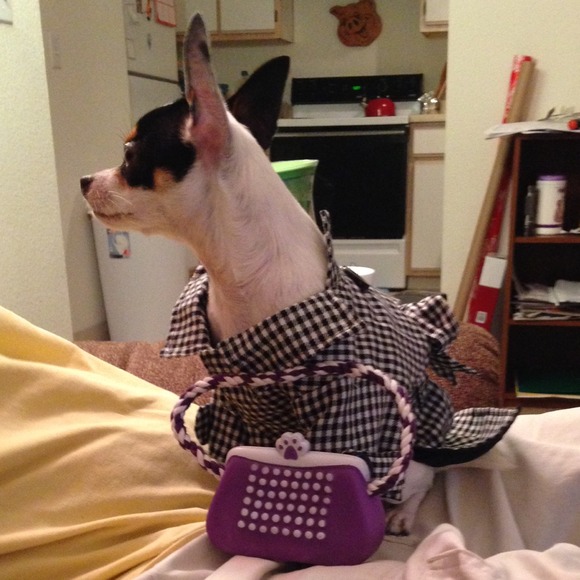 Just a shout out !!! - Picture 2 of 4