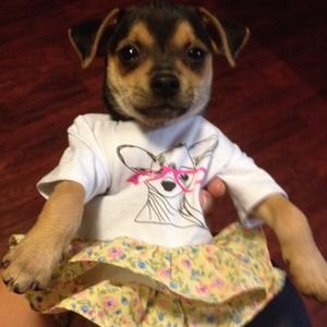 HELLO! I'm new and I LOVE TO POSH! HELLO! I'm new and I LOVE TO POSH!