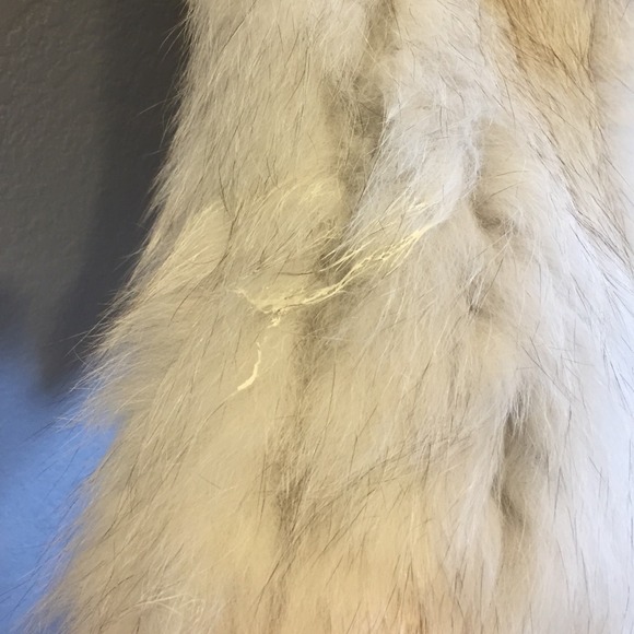 TRADED 🐺💚🐺 SAGA fox fur vintage - Picture 3 of 4