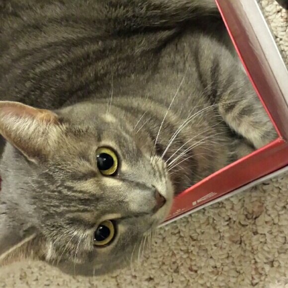 Meet Your Seller/Buyer - Picture 3 of 3