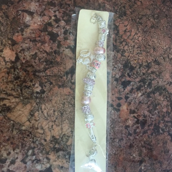 Pandora inspired charm bracelet