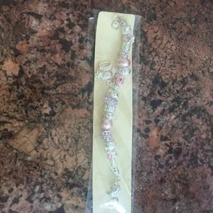 Pandora inspired charm bracelet