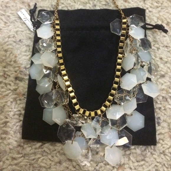 Francesca's Clear and White Gold Necklace