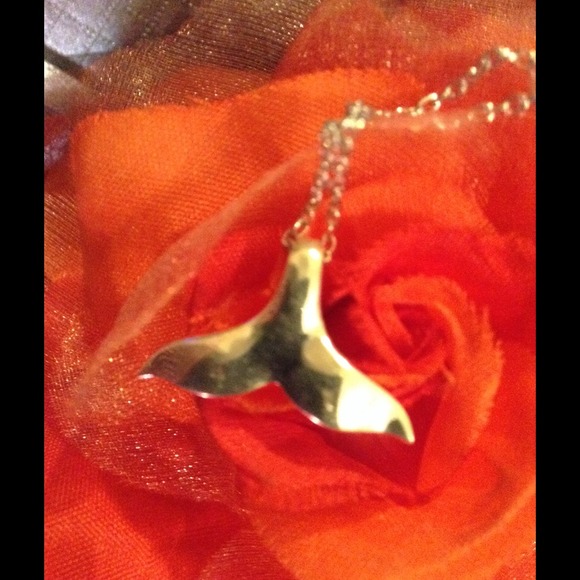 Solid Sterling Silver .925 Necklace