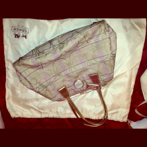 More pics of purse