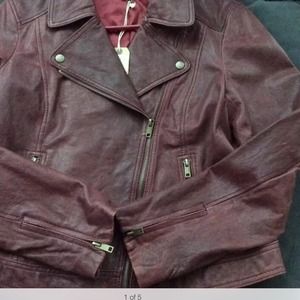 Leather Moto jacket, burgundy, Medium, New