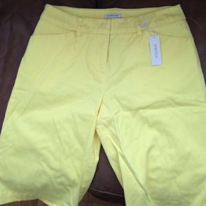 Jones New York  shorts