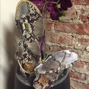 Dolce Vita Abee Slingback Sandal (Snake Stella)