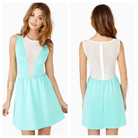 Nasty Gal Dresses & Skirts - Nasty Gal Fresh Mesh Skater Dress