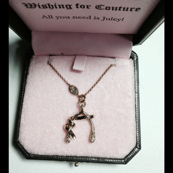 Wishbone Necklace - Picture 3 of 3