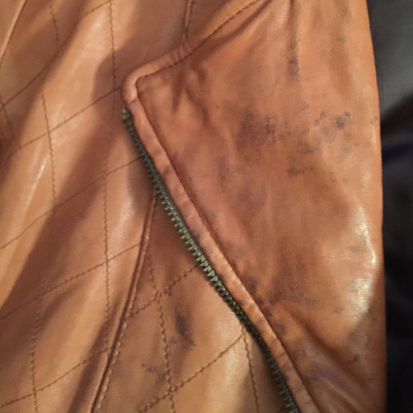 GAP women's leather motorcycle jacket - Picture 3 of 4