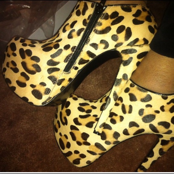 Leopard booties 🔥 Steve Madden