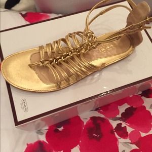 Coach Shoes - Coach gladiator sandals Coach Shoes - Coach gladiator sandals