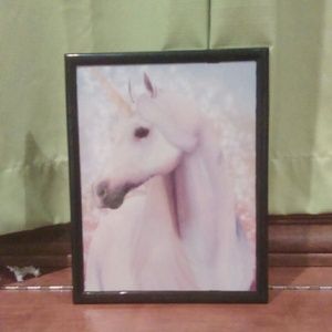 Unicorn Picture
