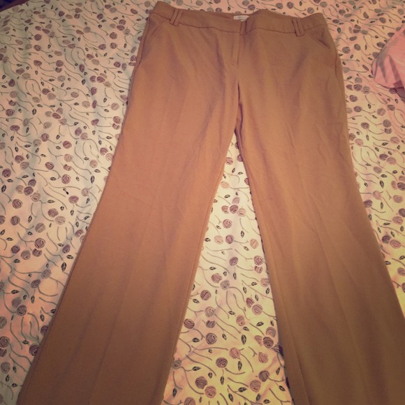 New York & company pants - Picture 1 of 2