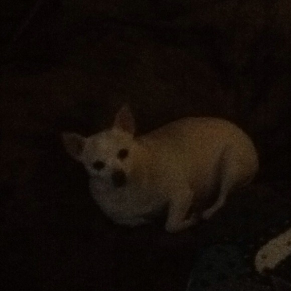 I only trade with people with good feedback