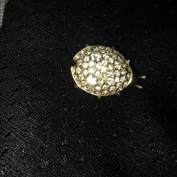 'Pavé' ladybug Pin