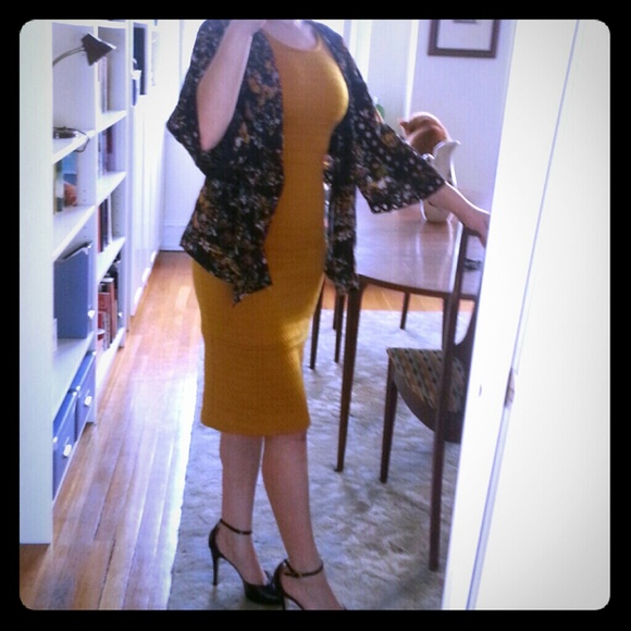 Tabitha dress And Guinevere Sweater bundle