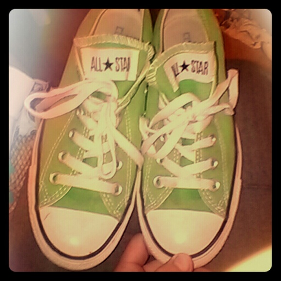 converse parrot converse parrot