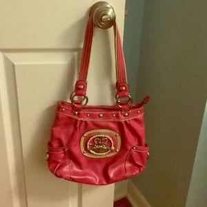 Kathy Van Zeeland- pink purse