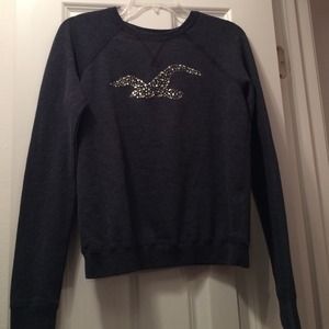 Hollister sweatshirt
