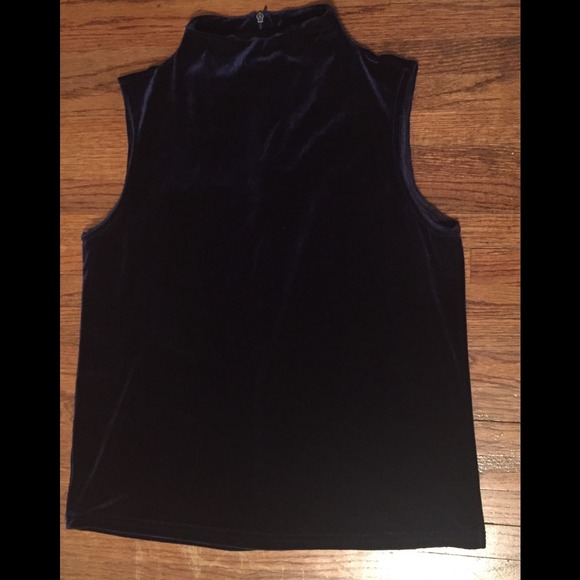 Vintage Blue Velvet Top