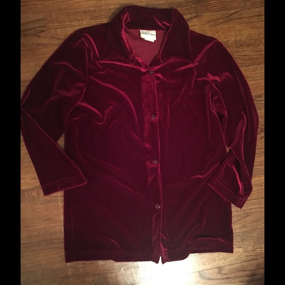 Vintage NewPort News Velvet Ruby Top