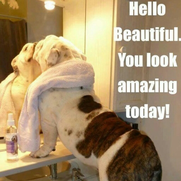 THE ASKING PRICE OF ITEMS DOESN'T REFLECT THE VALU