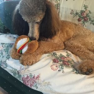 MORE PICS OF OLIVIA AND NEW TOY