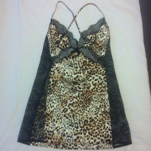 VS Leopard Teddy😸