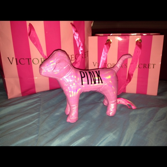VS Pink dog 🎀