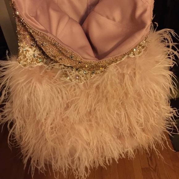 Custom Light Pink Dress w/Ostrich Feathers Beading - Picture 2 of 4