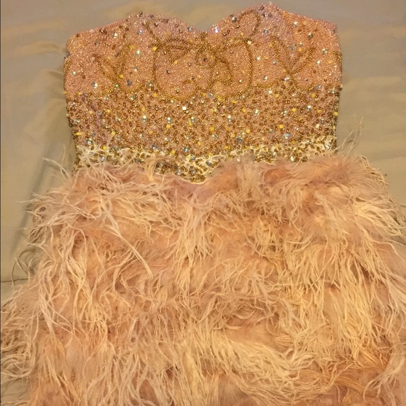 Custom Light Pink Dress w/Ostrich Feathers Beading - Picture 1 of 4