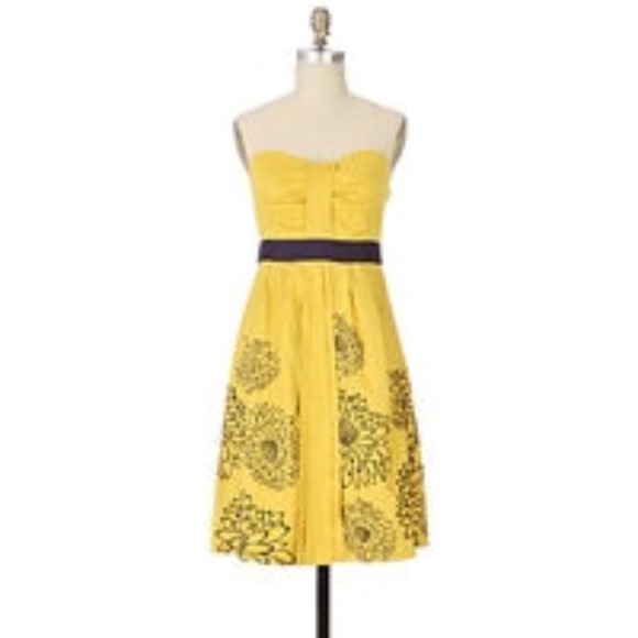 Rare anthropolgie Floreat dress
