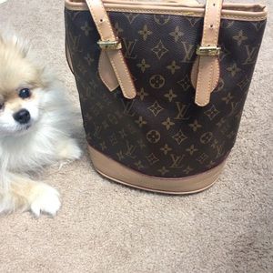 Inspired Louis Vuitton bucket bag