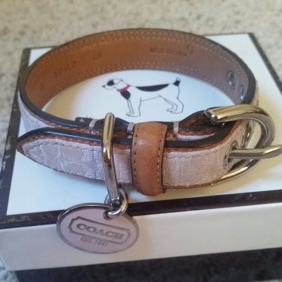 XS Coach collar