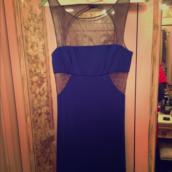 Blue & sheer BCBG dress