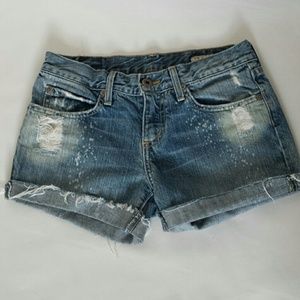 Chip and Pepper shorts