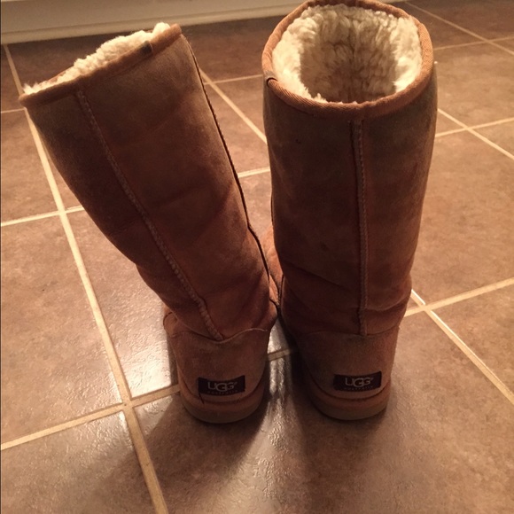 Authentic Tall Classic Uggs