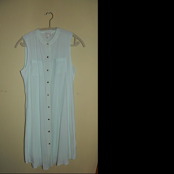 Shirt dress