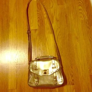 Metallic purse
