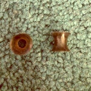 2g black Silicon Tunnels