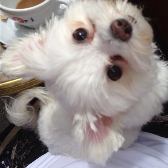 Partner in crime.  Pls read - Picture 2 of 4