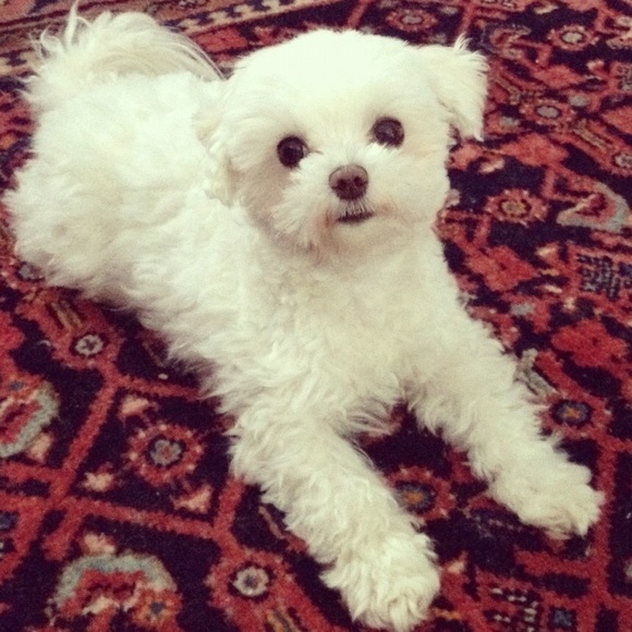 Partner in crime.  Pls read - Picture 3 of 4