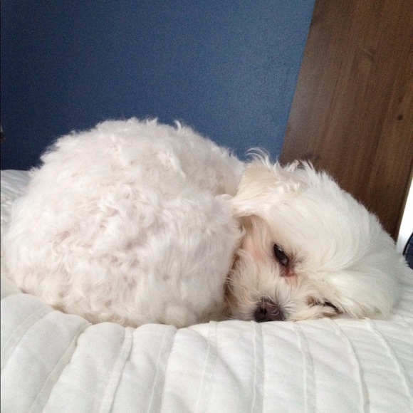 Partner in crime.  Pls read - Picture 4 of 4