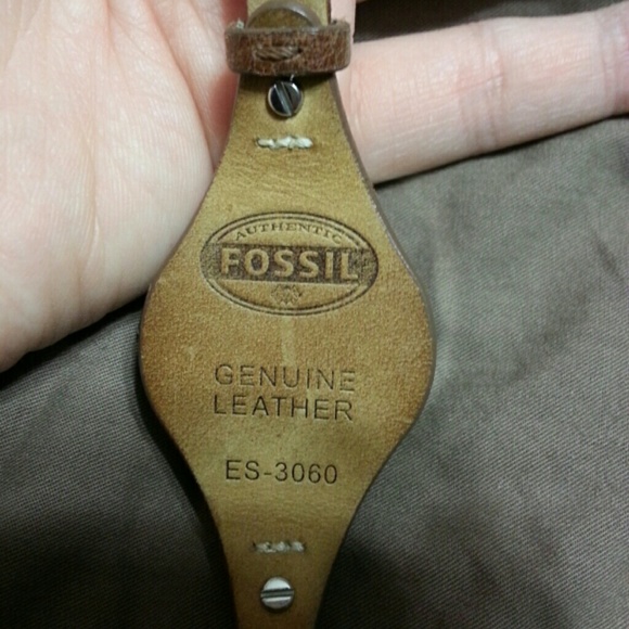 FOSSIL WATCH! - Picture 2 of 4