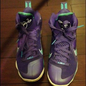 Lebron Hornets Sneakers