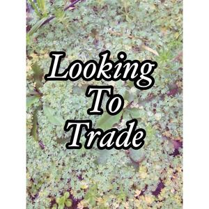 Hey guys! Everything in my closet is tradeable!
