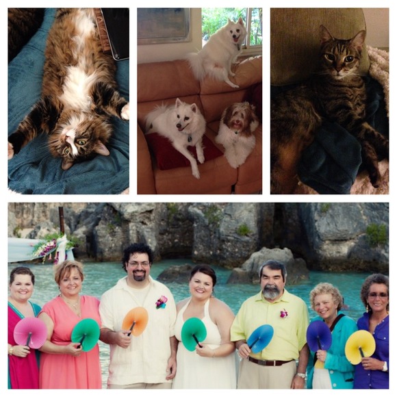 💃MEET YOUR SELLER💃 - Picture 3 of 4